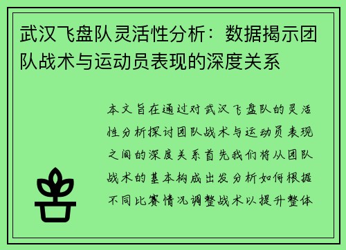 武汉飞盘队灵活性分析：数据揭示团队战术与运动员表现的深度关系
